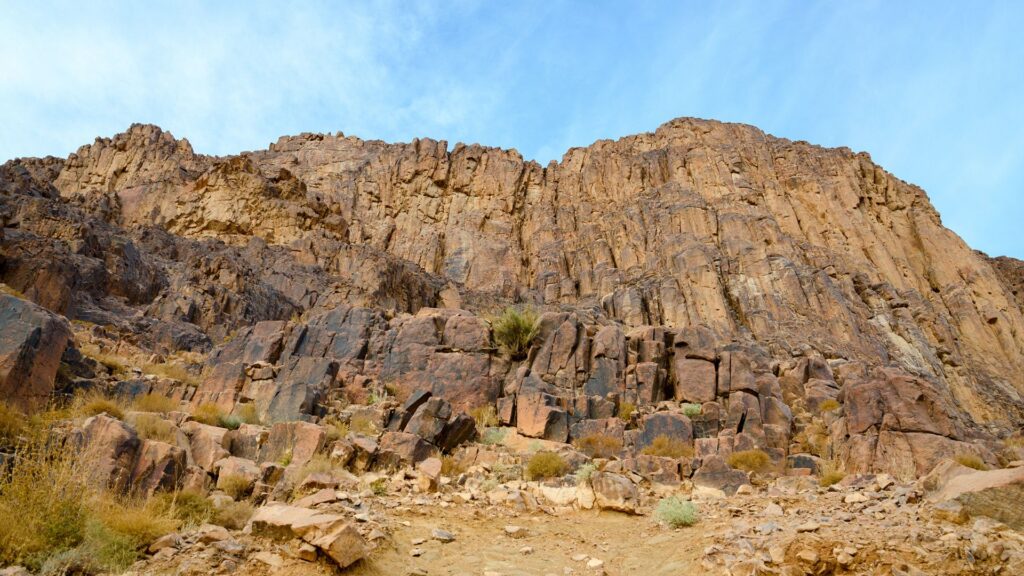 Untitled design (68)