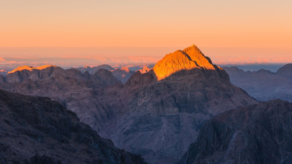 Untitled design (69)